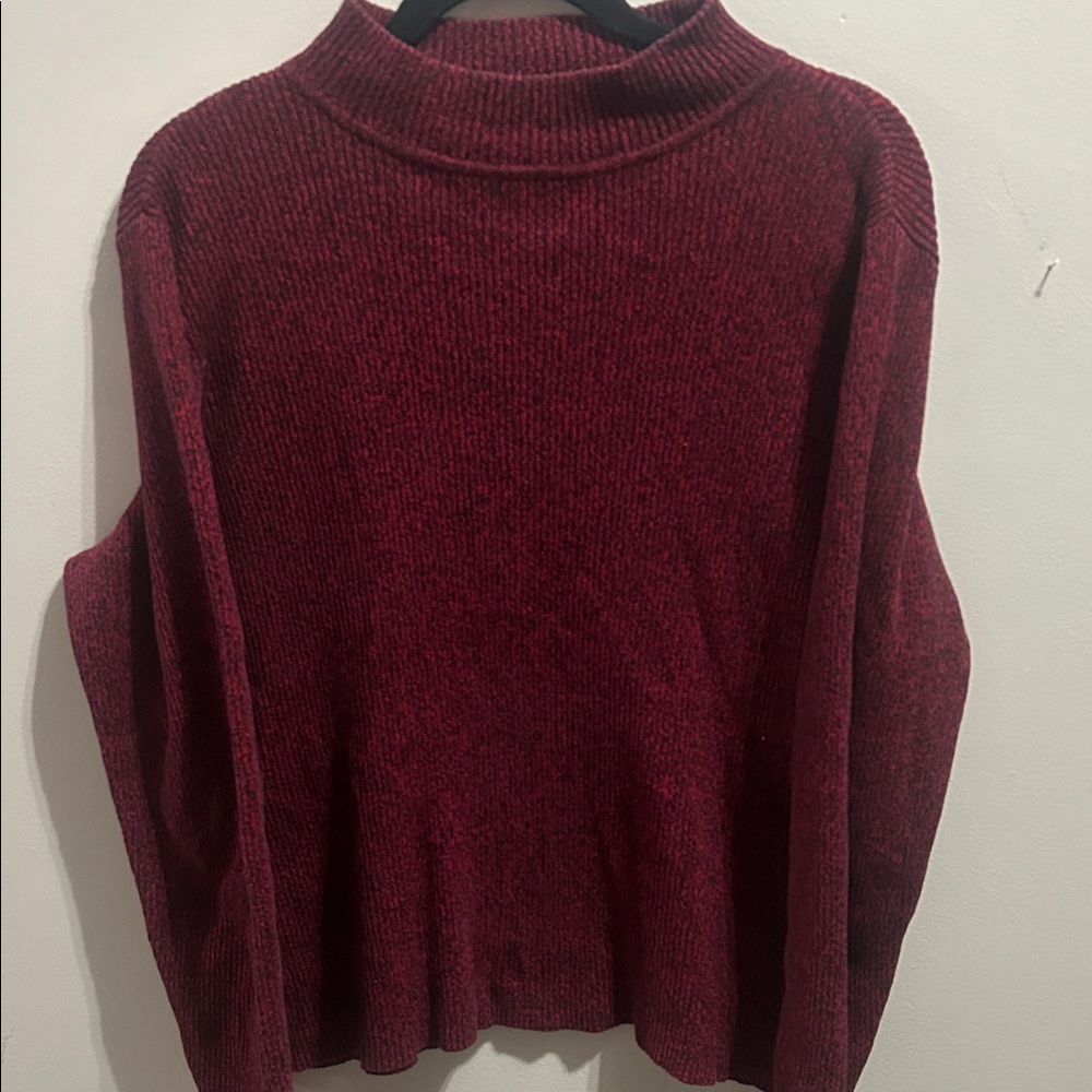Scott Deep Red Turtleneck Sweater